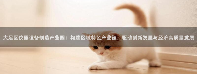 意昂3娱乐首页官网下载：大足区仪器设备制造产业园：构建区域特