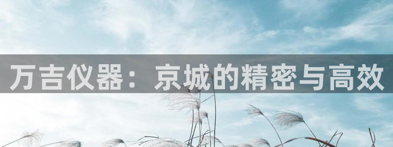 意昂体育3招商电话是多少啊：万吉仪器：京城的精密与高效