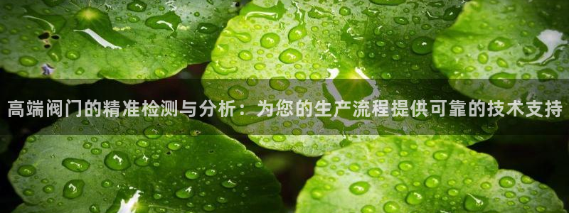 意昂体育3招商电话号码：高端阀门的精准检测与分析：为您的生产