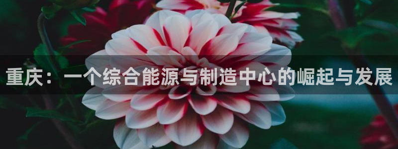 意昂体育3平台假的吗是真的吗吗：重庆：一个综合能源与制造中心