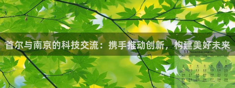 意昂3娱乐首页官网下载：首尔与南京的科技交流：携手推动创新，