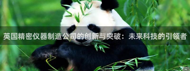 意昂3新能源：英国精密仪器制造公司的创新与突破：未来科技的引