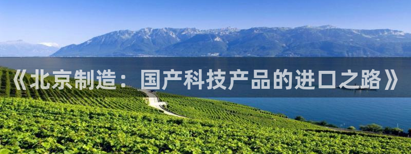 意昂体育3招商电话是多少：《北京制造：国产科技产品的进口之路