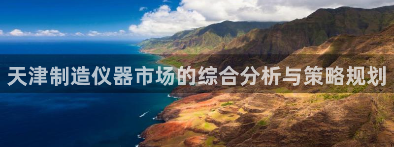 意昂体育3招商电话：天津制造仪器市场的综合分析与策略规划