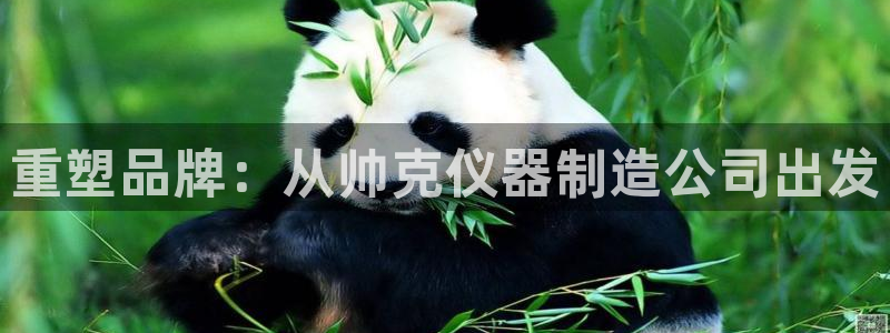 意昂3科技：重塑品牌：从帅克仪器制造公司出发