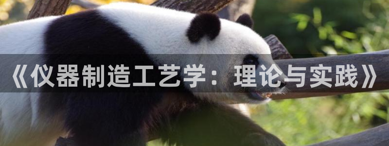 海南意昂体育3：《仪器制造工艺学：理论与实践》