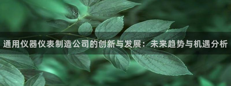 意昂集团官网：通用仪器仪表制造公司的创新与发展：未来趋势与机