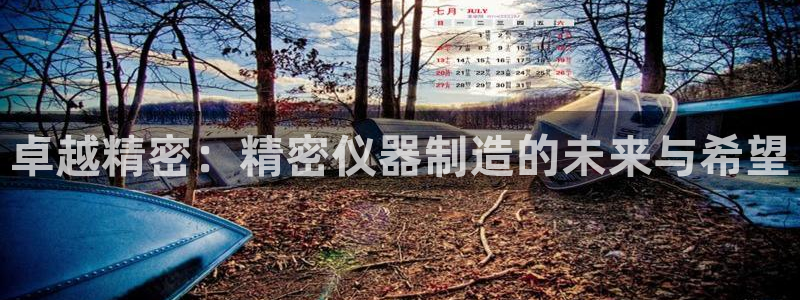 意昂3娱乐平台：卓越精密：精密仪器制造的未来与希望