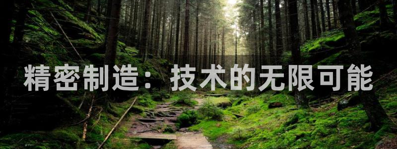 意昂3娱乐网站：精密制造：技术的无限可能