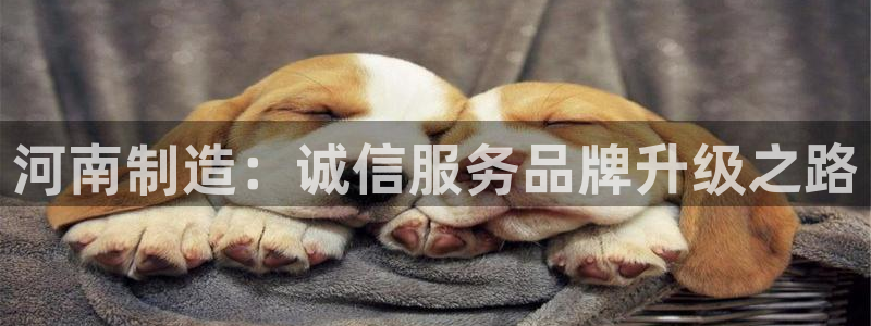 意昂体育3平台注册：河南制造：诚信服务品牌升级之路