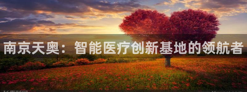 意昂3代理：南京天奥：智能医疗创新基地的领航者