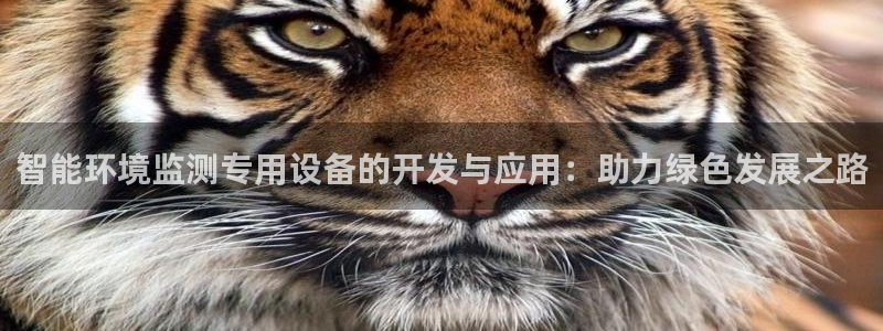 德国意昂3集团：智能环境监测专用设备的开发与应用：助力绿色发