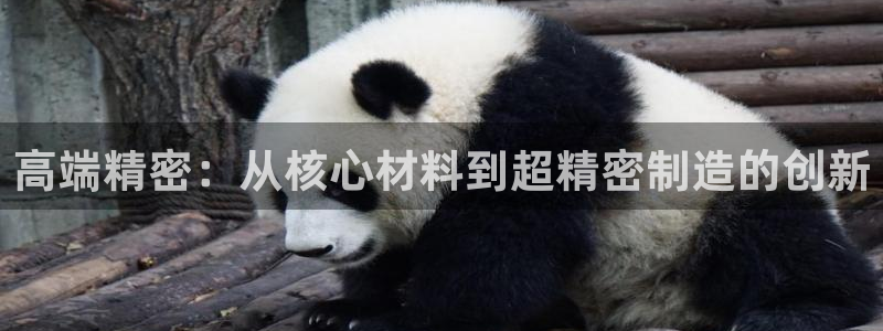 意昂3娱乐下载：高端精密：从核心材料到超精密制造的创新