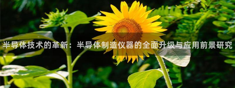 意昂3官网：半导体技术的革新：半导体制造仪器的全面升级与应用