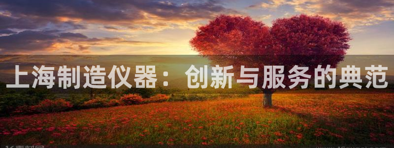 意昂3娱乐是那个系列的台子：上海制造仪器：创新与服务的典范