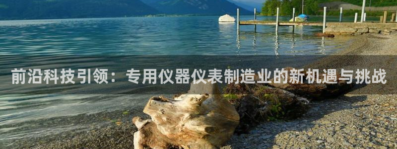 德国意昂3集团：前沿科技引领：专用仪器仪表制造业的新机遇与挑