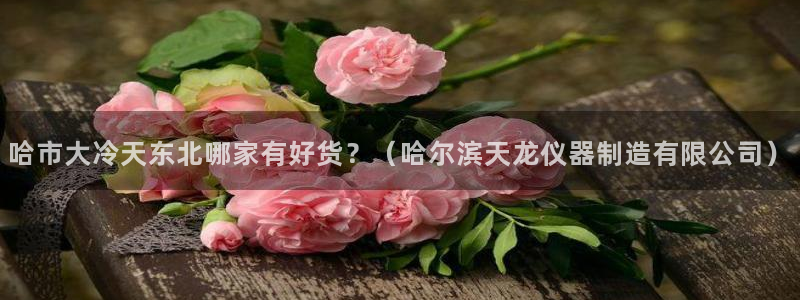 注册意昂3：哈市大冷天东北哪家有好货？（哈尔滨天龙仪器制造有