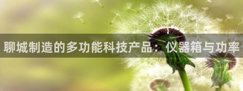 意昂3集团官网首页：聊城制造的多功能科技产品：仪器箱与功率