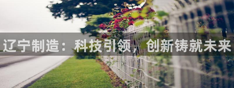 意昂体育3是干嘛的公司：辽宁制造：科技引领，创新铸就未来