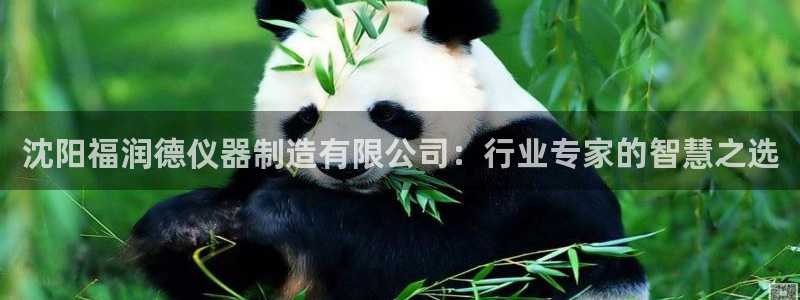 意昂体育3软件：沈阳福润德仪器制造有限公司：行业专家的智慧之