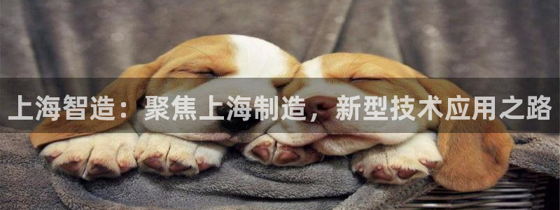 意昂体育3招商电话号码查询是多少：上海智造：聚焦上海制造，新