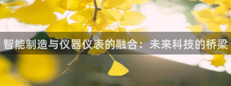 意昂集团官网：智能制造与仪器仪表的融合：未来科技的桥梁