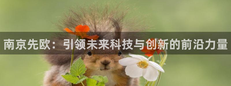 意昂集团官网：南京先欧：引领未来科技与创新的前沿力量