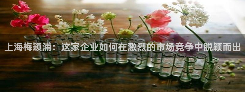 意昂3娱乐是那个系列的台子：上海梅颖浦：这家企业如何在激烈的