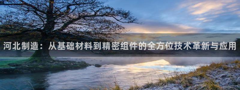 意昂体育3招商电话是多少号码：河北制造：从基础材料到精密组件