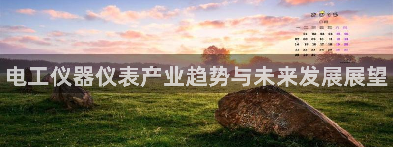 意昂3神州：电工仪器仪表产业趋势与未来发展展望