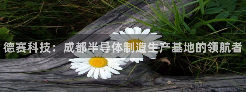 意昂平台体育：德赛科技：成都半导体制造生产基地的领航者