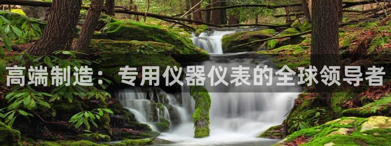 意昂体育3招商电话：高端制造：专用仪器仪表的全球领导者