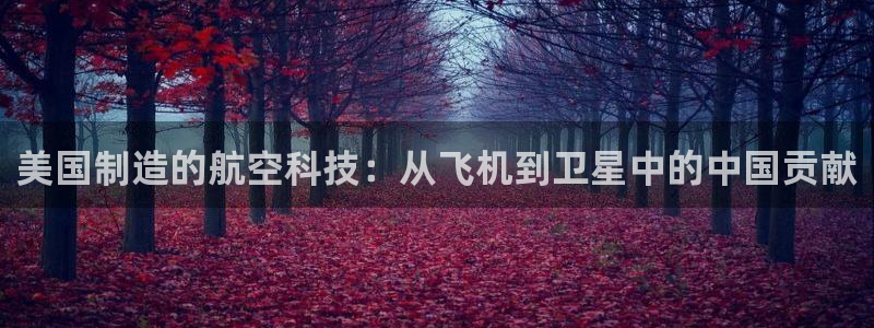 意昂体育3注册：美国制造的航空科技：从飞机到卫星中的中国贡献