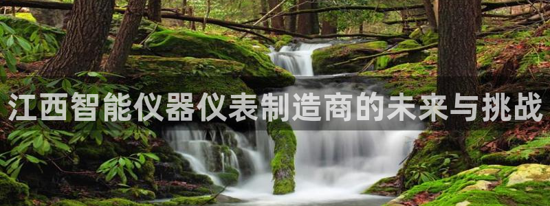 意昂体育3招商电话号码是多少号：江西智能仪器仪表制造商的未来