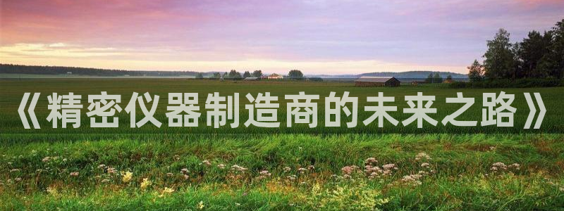 意昂体育3招商电话地址：《精密仪器制造商的未来之路》