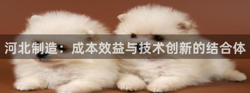 意昂3娱乐是那个系列的台子：河北制造：成本效益与技术创新的结