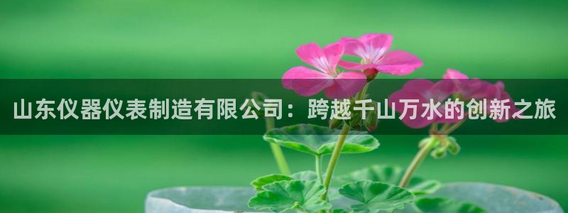 意昂3集团简介：山东仪器仪表制造有限公司：跨越千山万水的创新