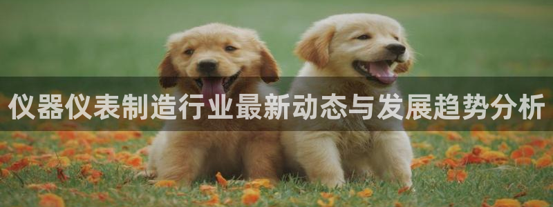 意昂体育3招商电话号码查询：仪器仪表制造行业最新动态与发展趋