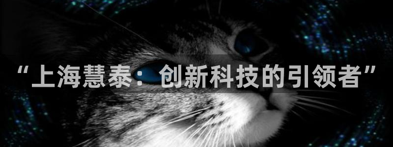 意昂体育3开户：“上海慧泰：创新科技的引领者”