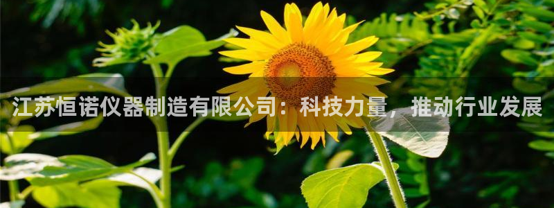 意昂体育3招商电话地址：江苏恒诺仪器制造有限公司：科技力量，