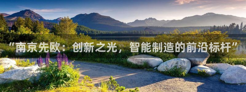 意昂体育3平台APP：“南京先欧：创新之光，智能制造的前沿标