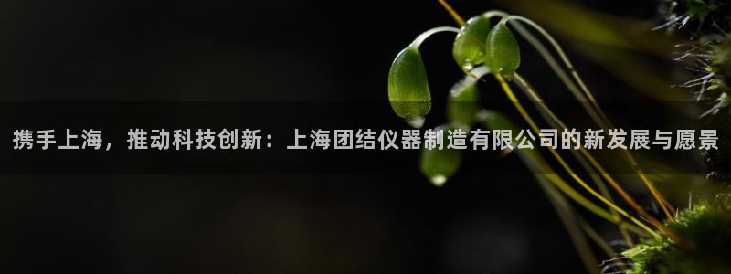 意昂体育3平台注册要钱吗安全吗：携手上海，推动科技创新：上海