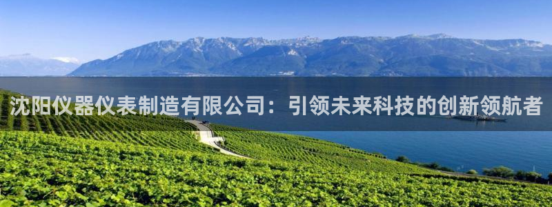 意昂3官网：沈阳仪器仪表制造有限公司：引领未来科技的创新领航