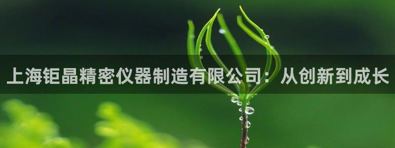 意昂体育3开户：上海钜晶精密仪器制造有限公司：从创新到成长