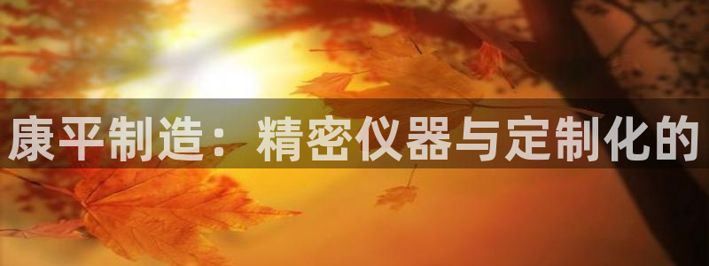 意昂体育3平台假的吗是真的吗吗：康平制造：精密仪器与定制化的