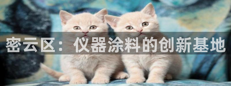 意昂体育3平台注册要钱吗：密云区：仪器涂料的创新基地