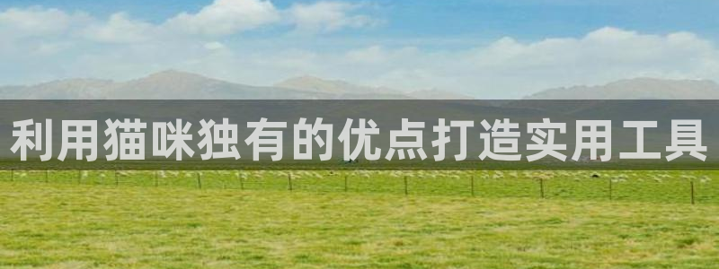 意昂3集团简介：利用猫咪独有的优点打造实用工具