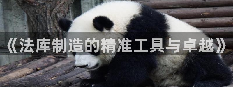 意昂体育3软件：《法库制造的精准工具与卓越》
