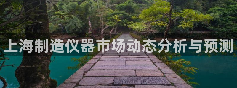 意昂体育3平台APP：上海制造仪器市场动态分析与预测