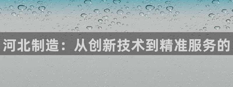 意昂体育3平台APP：河北制造：从创新技术到精准服务的